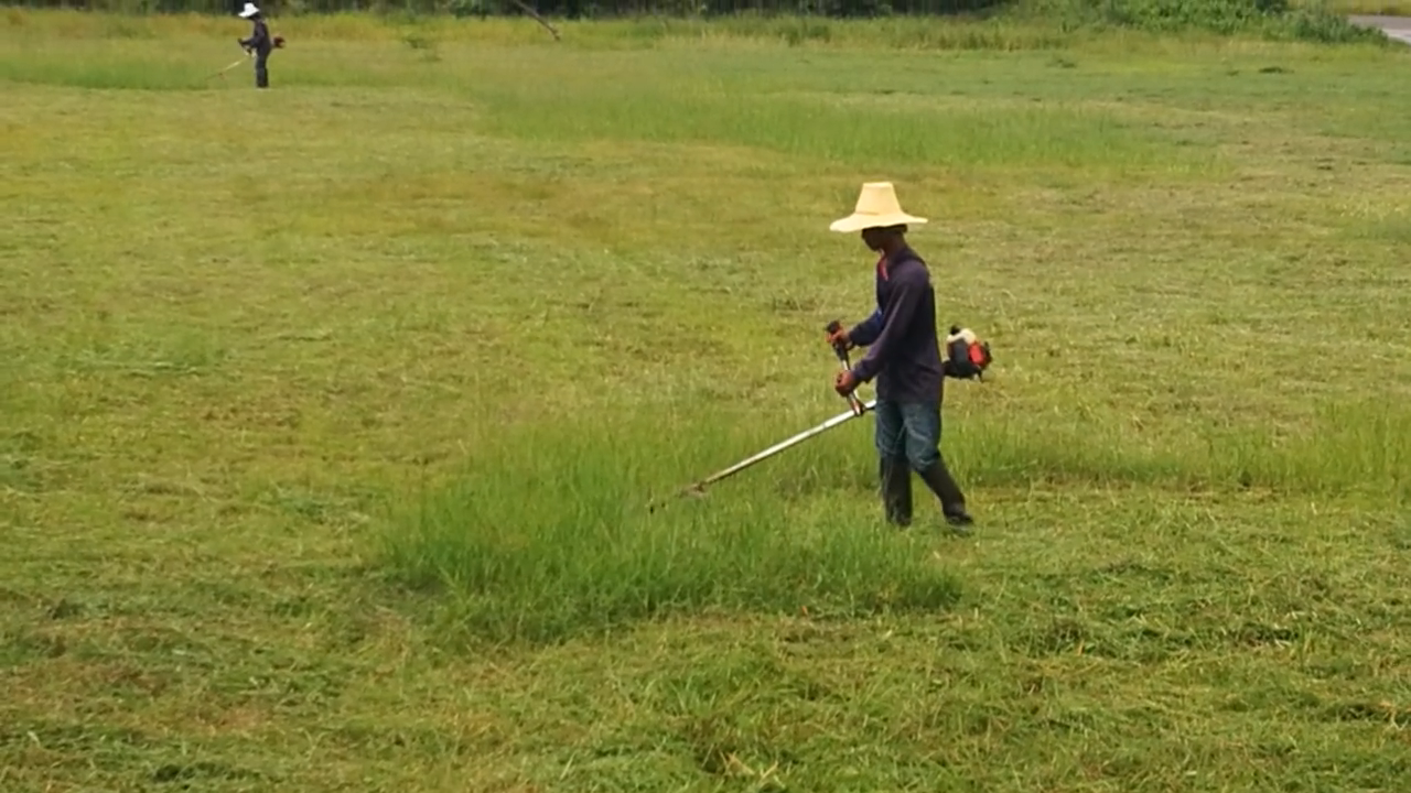 411 brush cutter 2 stroke grass trimmer