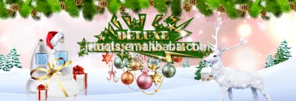 Christmas gift Skin Peel NEWDERMO Microdermabrasion Machine For Facial Care