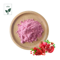 High Quality Instant Pomegranate Fruit Juice Powder
