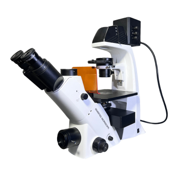 BDS500-FL Inverted Fluorescence Microscope with Trinocular Head 40X~400X Magnification