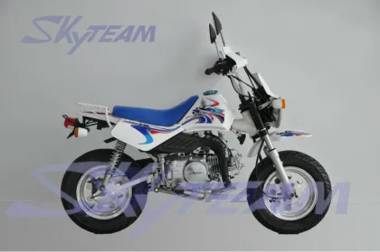 SKYTEAM 50CC 4-STROKE BAJA MONKEY DIRT MOTORCYCLE