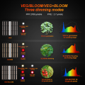 Le luci di Growhouse di Growhouse Hydroponics più economico 1000W