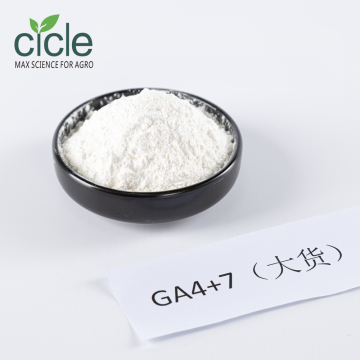 GA4+7 90%TC Gibberellic Acid Powder