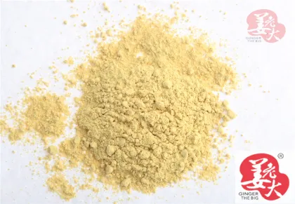 Yellow Dehydrated Ginger Sliced Whole Powder