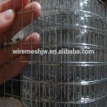 2015 New Product Bright Galvanized Welded Wire Mesh Netting