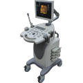 Hôpital Full Digital Trolley Ultrasound Machine