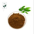 High Quality Green Tea Extract