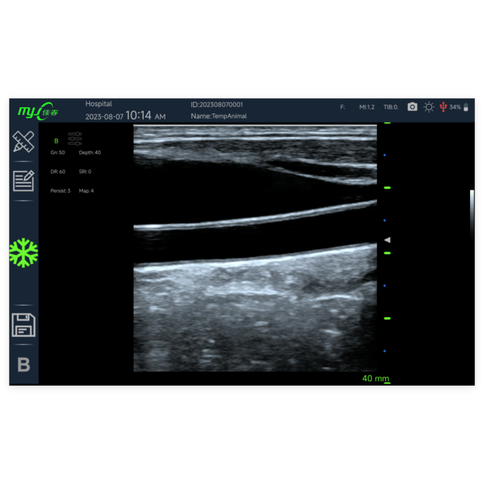 L180 3.5MHz backfat linear probe color equine ultrasound