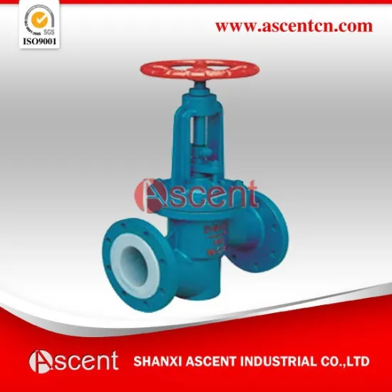 Steam Gs-c25 Globe Valve