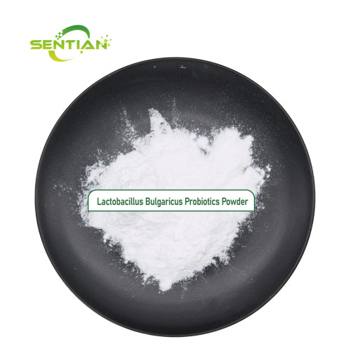 High Stability Freeze Dried Lactobacillus Bulgaricus
