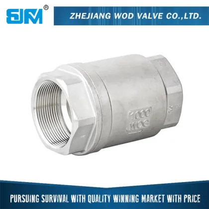 High Technology Practical Factory Made Durable Hot Sales daniel natural gas check valve