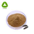 Sea Cucumber Extract Powder 10:1