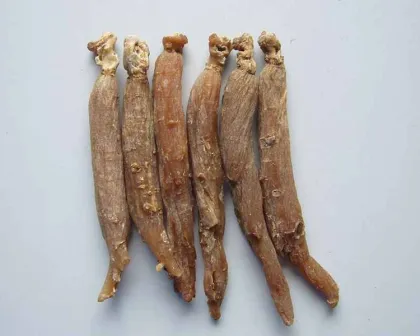 Red Ginseng Extract Powder Health Care Natural