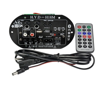 Mono Subwoofer Amplifier Board with Dual Microphone for K Song, 30-150W, Compatible with 6-10 Inch Speakers, 220V 12V 24V