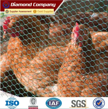 Double twist hexagonal wire mesh/chicken wire netting