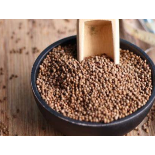 Perilla Seed Extract Powder