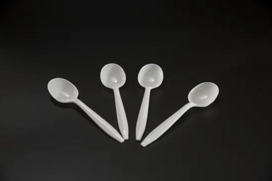 Premium PP Plastic Dessert Spoon