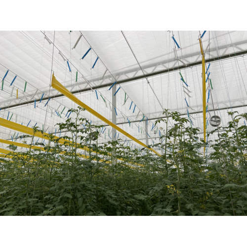 Hanging Vertical Cultivation System