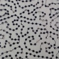 Tessuti ricamati con paillettes Mini Daisy Trail
