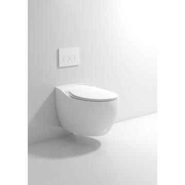 Белая отделка стена подвешенная водяной туалет