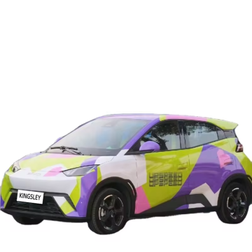 Russia Hot Sale 2024: BYD Seagull and Song Plus New Energy Vehicles