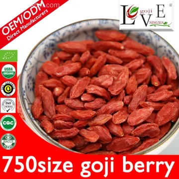 Free Sample 750granule/50g Goji Berry With Low Price