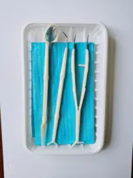 Dental Disposable Devices Kit  Dental Mirror Probe Tweezer