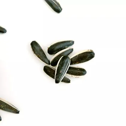 Raw sunflower seeds 601