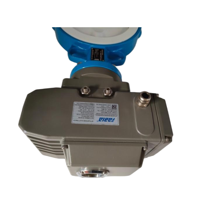 Van bướm wafer điện