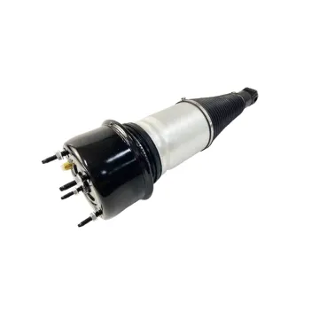 High Quality Piston for Jaguar 2010 X351-XJ XJL 2010-14 Rear C2D18898 F308614203 Air Shock Absorber