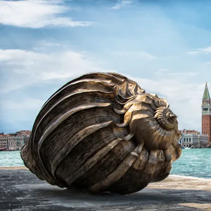 Creative outdoor bronze polishinglarge shell sculpture garden shell sculpture