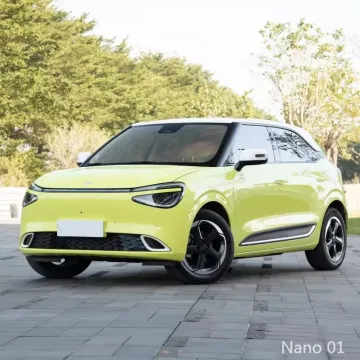 Compact Nano 01 2024 Car