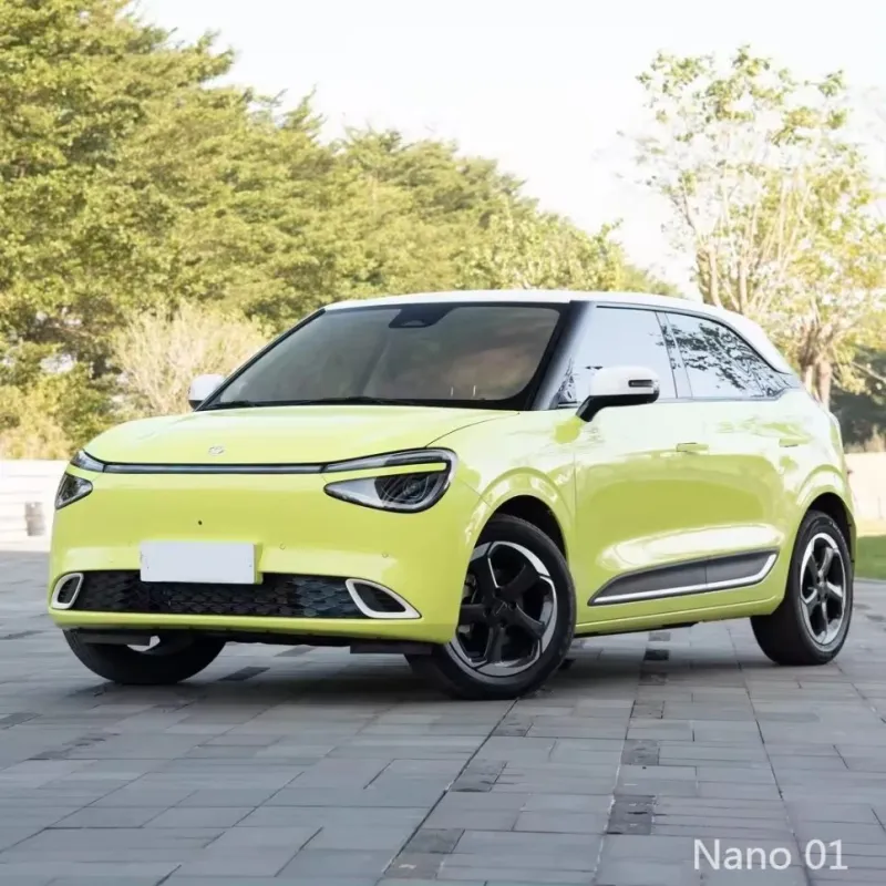 Compact Nano 01 2024 Car