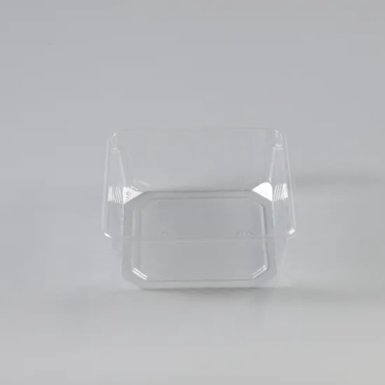 Customized High Quality vacuum forming large plastic tray