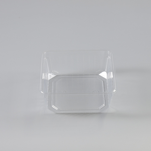 Customized High Quality vacuum forming large plastic tray