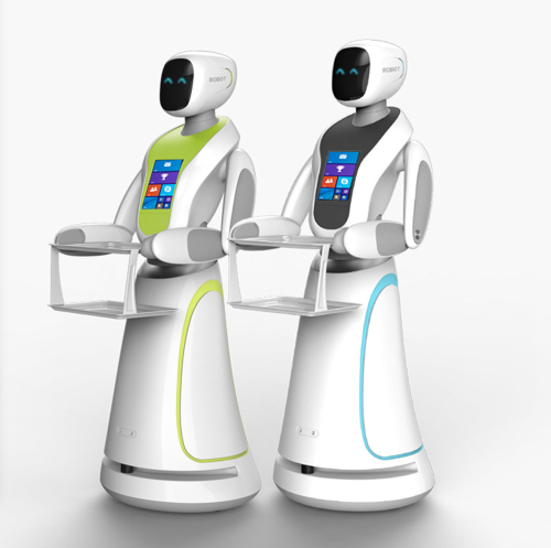 Automated Interactive Waiter Robot Toy