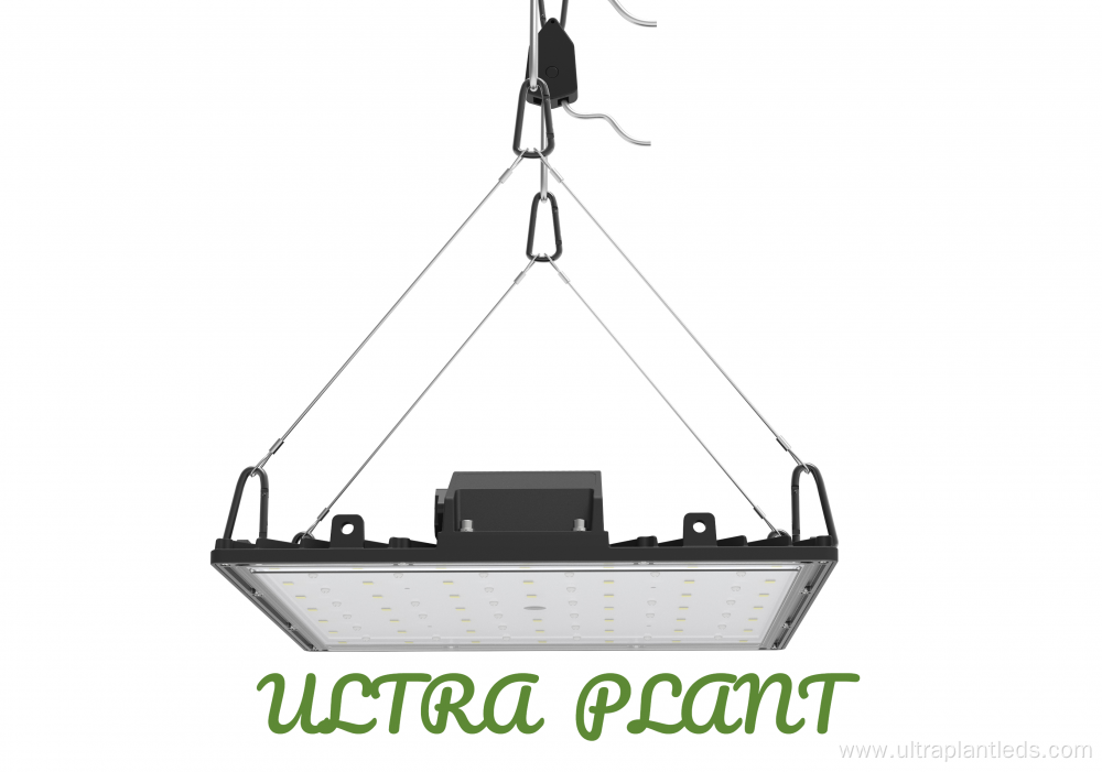 Full Spectrum LED Grow Lights For Seeding