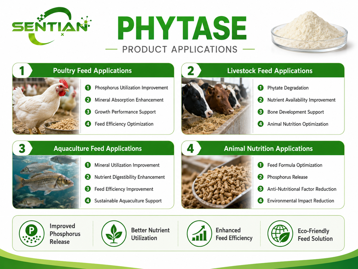 Phytase (3)