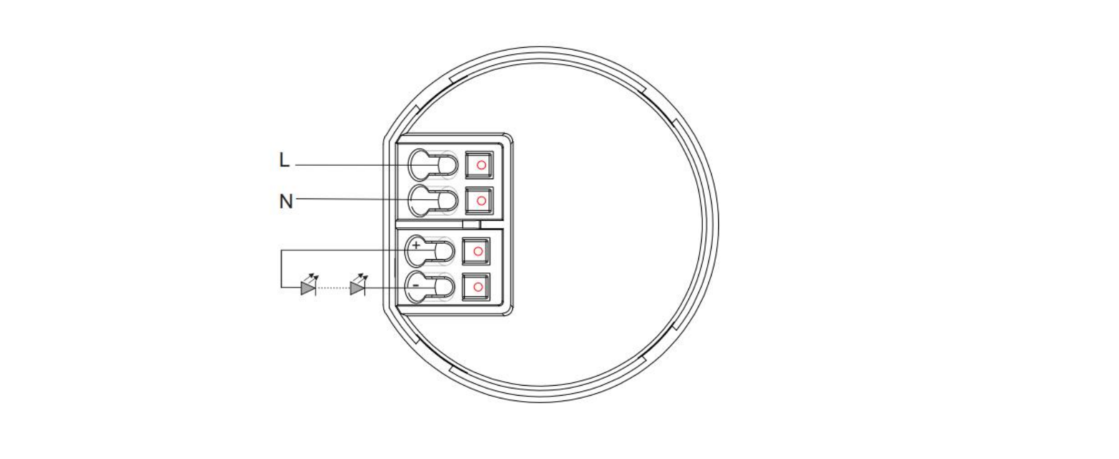 C31 6