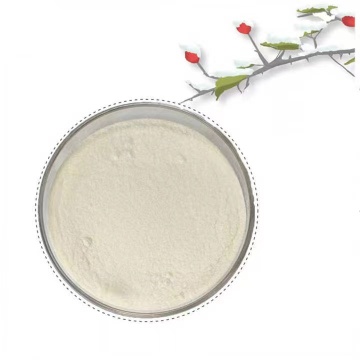 Allicin Garlic Powder Feed Pure Natural Garlic Extract Allicin Powder Manufactory