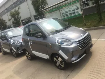 Zd Electric Car D2s EEC M1 Approved 144V