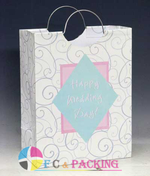 Elegant Paper Bag (FC-W-0147)