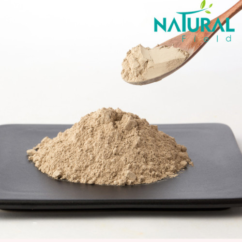 Healthcare Antioxidant Raw Material Anti Oxidation Seaweed extract kelp fucoidan powder Supplier