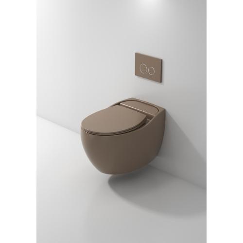 Wall Hung Toilet With Toilet Seat