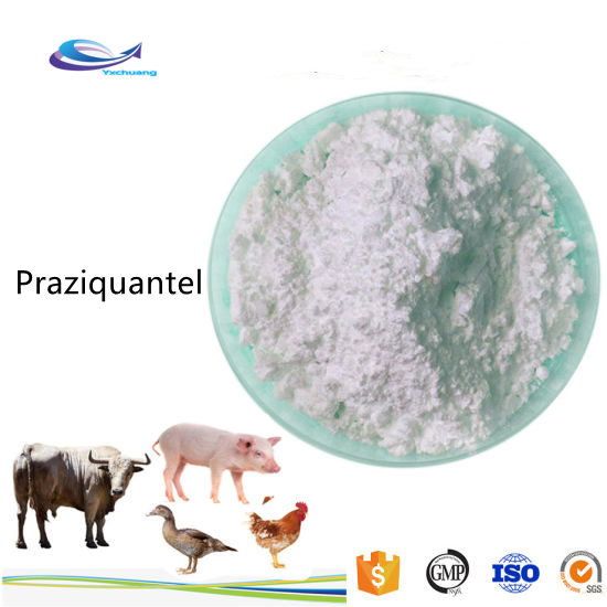 praziquantel (biltricide) for humans