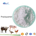 Grado farmacéutico USP Praziquantel Powder CAS 55268-74-1