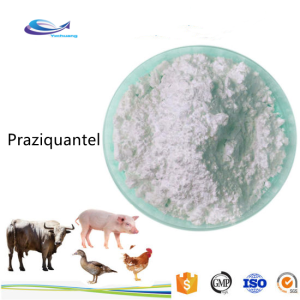Pharmaceutical Grade USP Praziquantel Powder CAS 55268-74-1