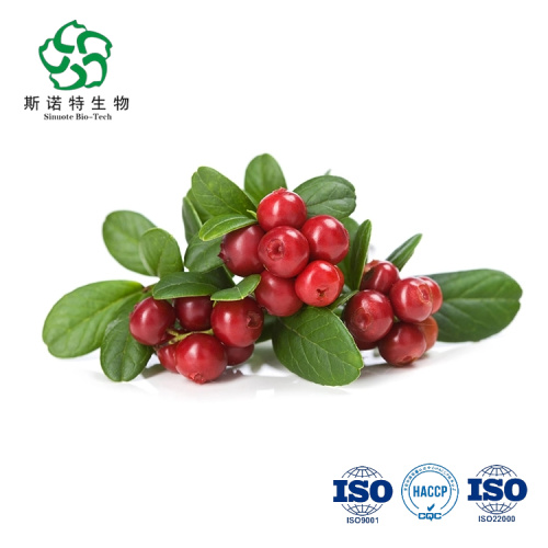 Best natural Cranberry Extract PAC Vaccinium Macrocarpon