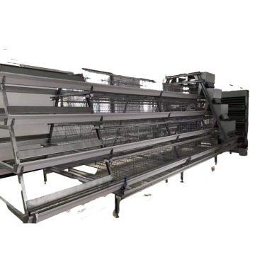 Hens de aves de aves reproduzindo equipamentos automáticos do sistema de ovos depositando gaiola de frango para venda