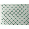 Chain Link Fence with PVC-Coated Wire PVC Coated Chain Link Fence Supplier